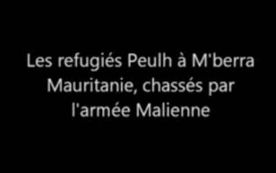 Fulani Refugees at M’berra, Mauritania, Chased by Malian Army